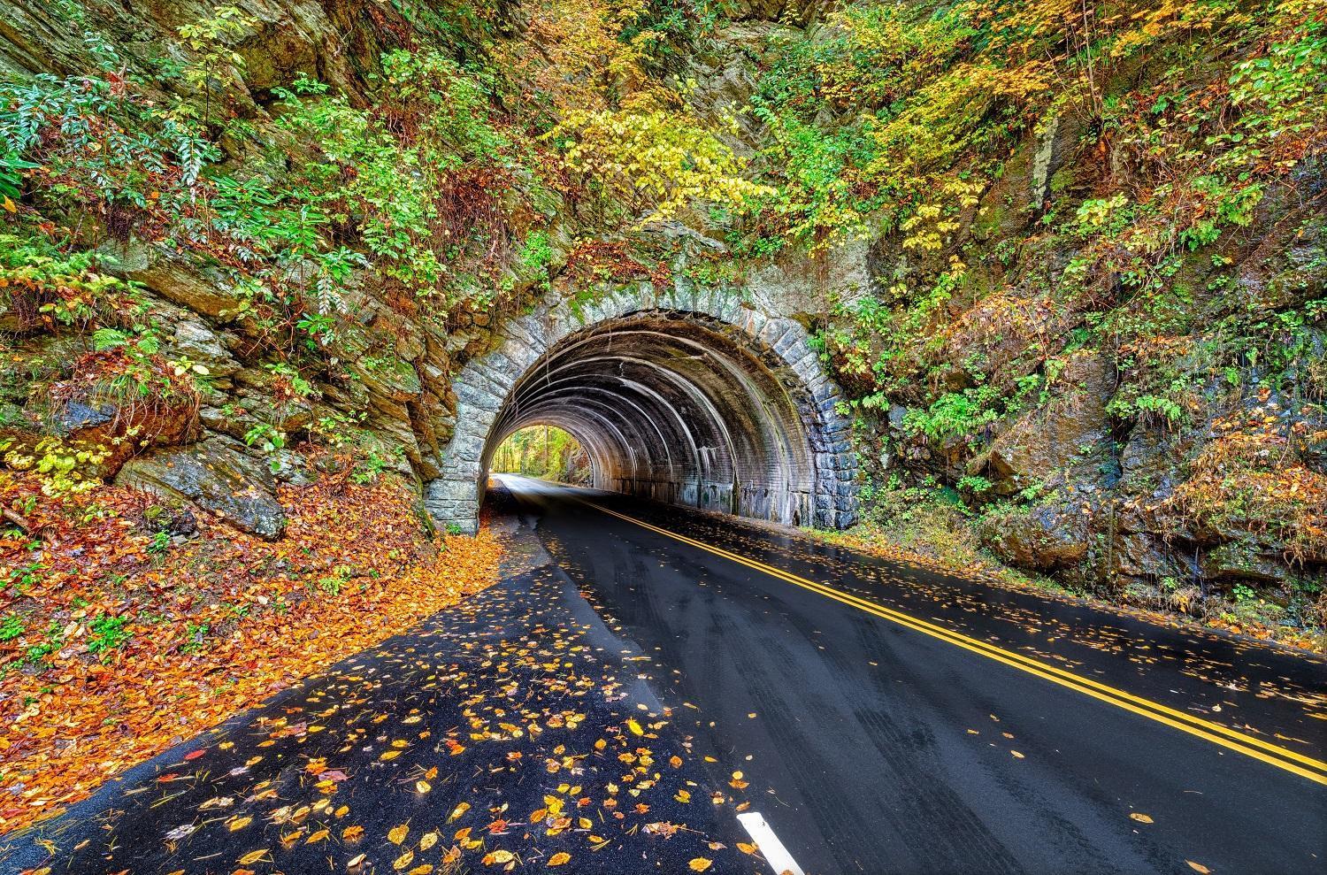 Time To Cuddle, Wifi, Near Pigeon Forge, 1089 Free Tickets Each Paid Day, Dollywood And More エクステリア 写真