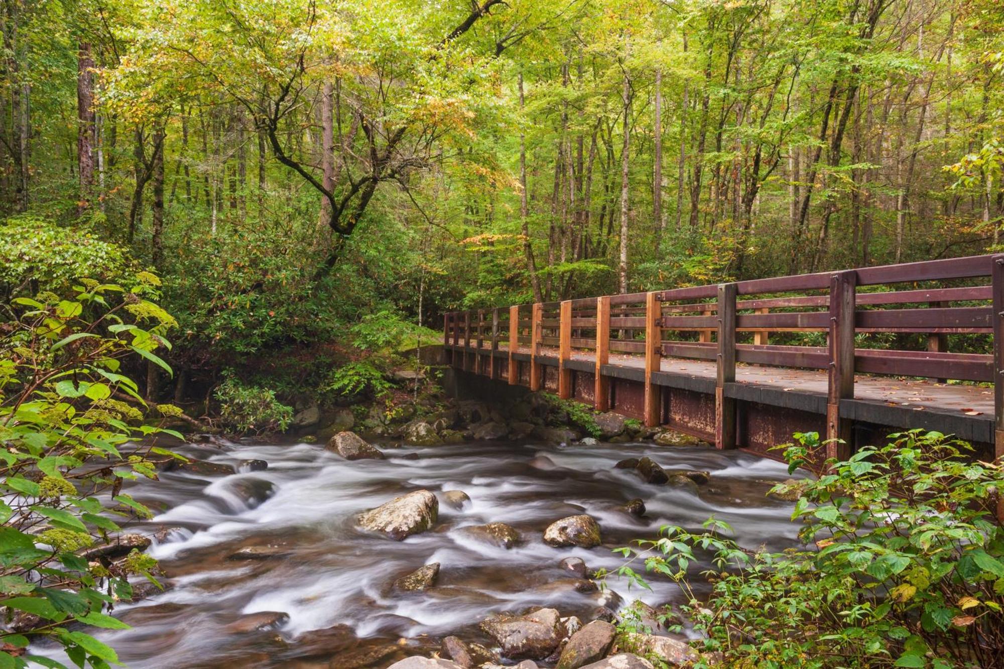 Time To Cuddle, Wifi, Near Pigeon Forge, 1089 Free Tickets Each Paid Day, Dollywood And More エクステリア 写真