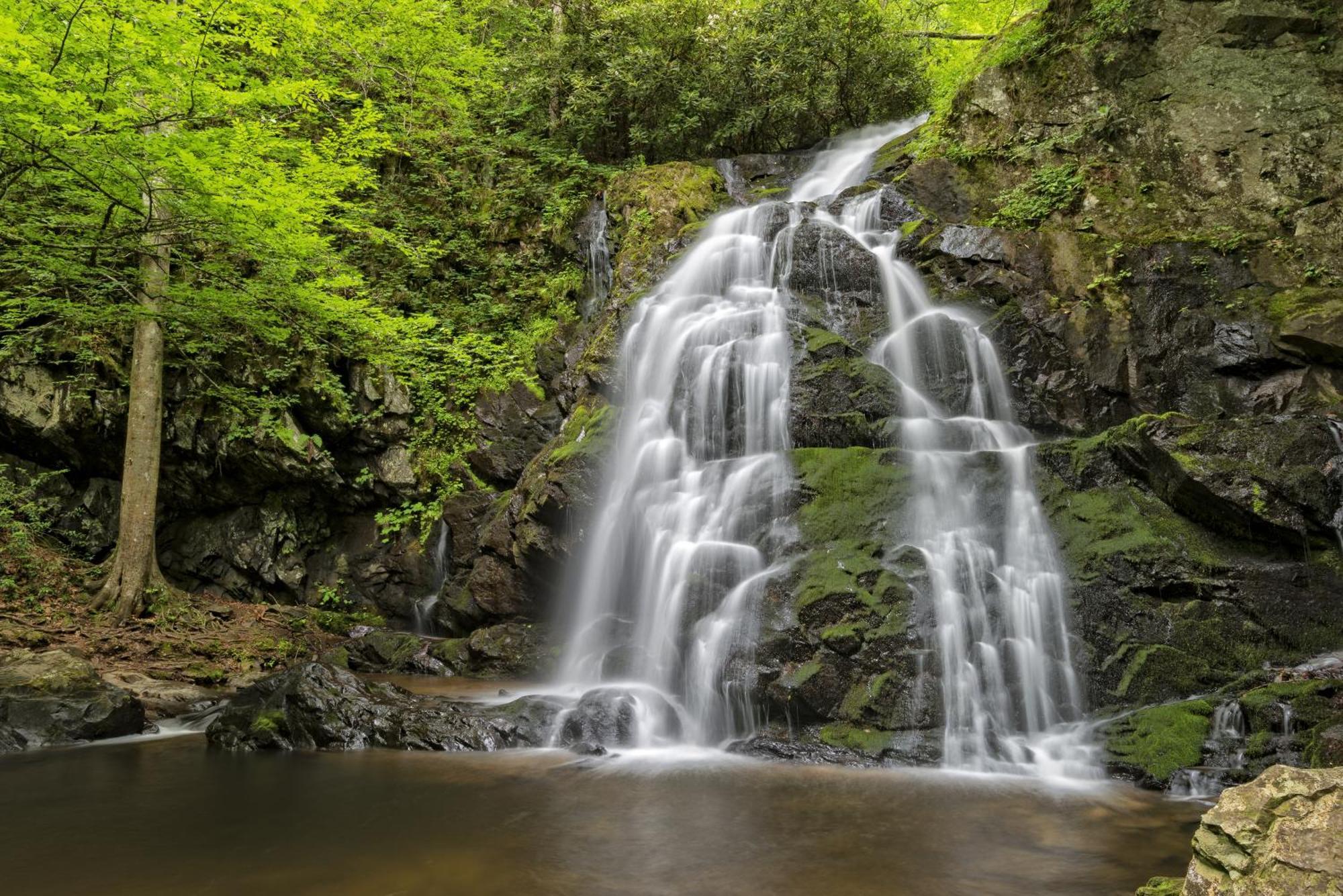 Time To Cuddle, Wifi, Near Pigeon Forge, 1089 Free Tickets Each Paid Day, Dollywood And More エクステリア 写真