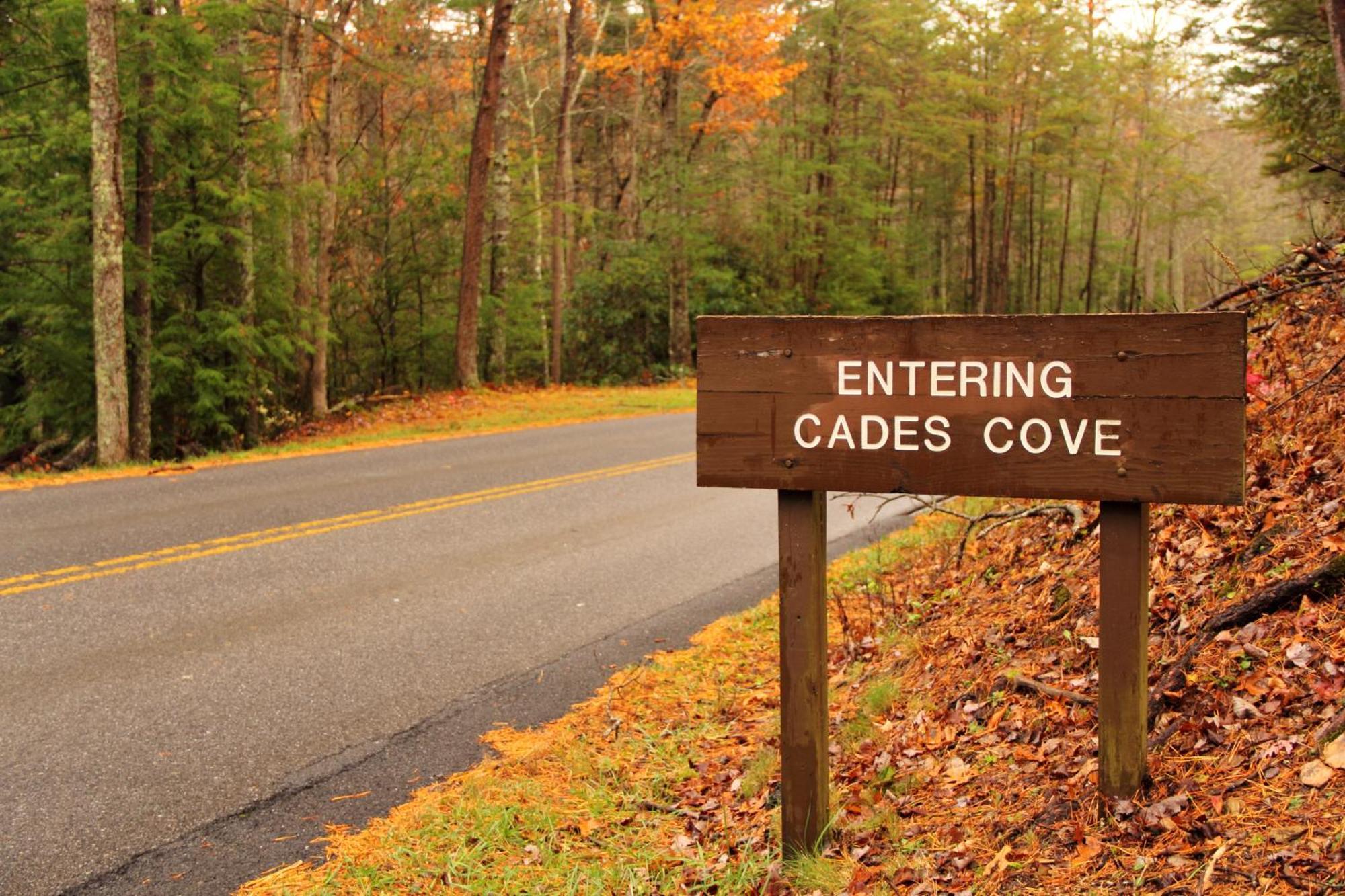Time To Cuddle, Wifi, Near Pigeon Forge, 1089 Free Tickets Each Paid Day, Dollywood And More エクステリア 写真